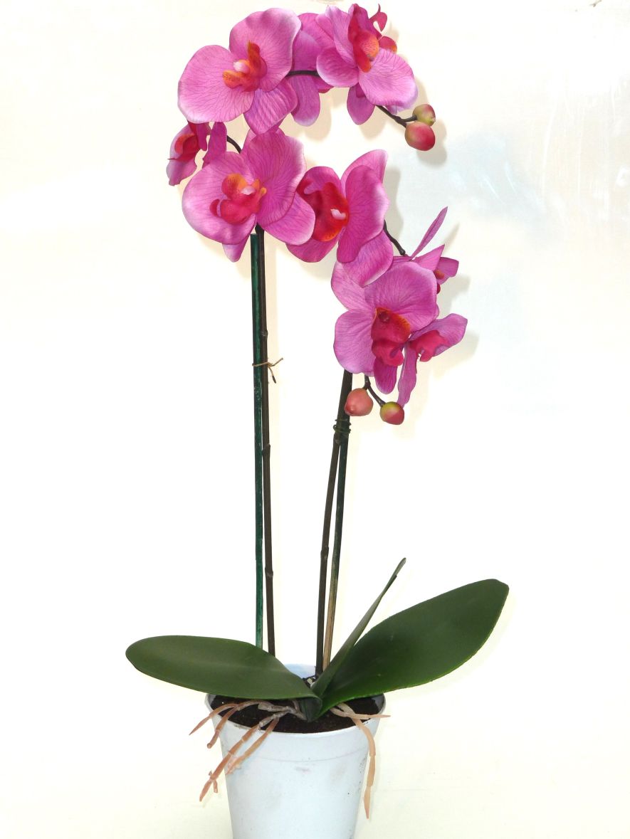 Orchidee im Topf H50cm Orchideen Kunstblume Topforchidee künstlich